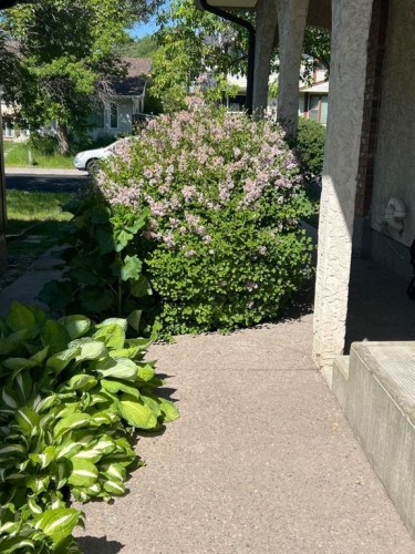 824 Whitemont Drive Ne, Calgary, AB - Outdoor