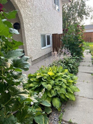 824 Whitemont Drive Ne, Calgary, AB - Outdoor