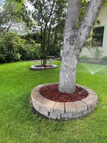 824 Whitemont Drive Ne, Calgary, AB - Outdoor