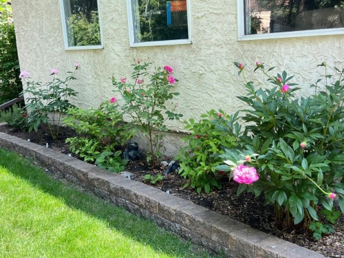 824 Whitemont Drive Ne, Calgary, AB - Outdoor