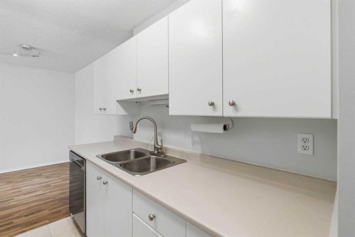 14D-80 Galbraith Drive Sw, Calgary, AB - Indoor Photo Showing Kitchen With Double Sink