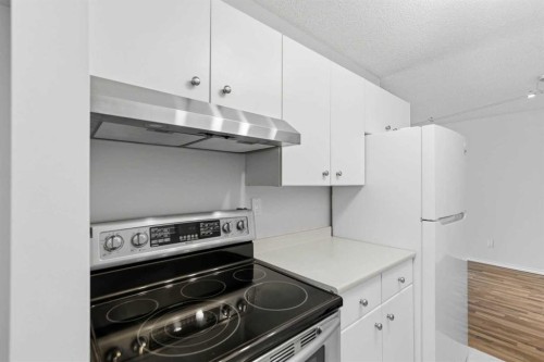 14D-80 Galbraith Drive Sw, Calgary, AB - Indoor Photo Showing Kitchen