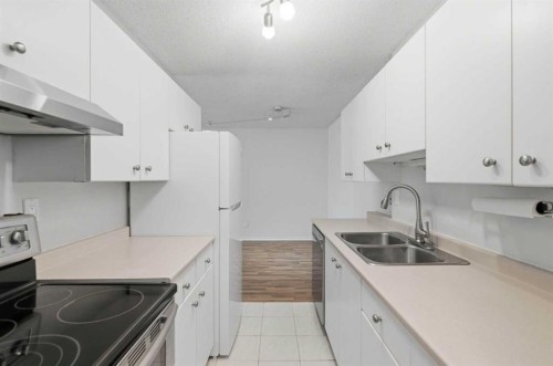 14D-80 Galbraith Drive Sw, Calgary, AB - Indoor Photo Showing Kitchen With Double Sink