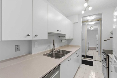 14D-80 Galbraith Drive Sw, Calgary, AB - Indoor Photo Showing Kitchen With Double Sink