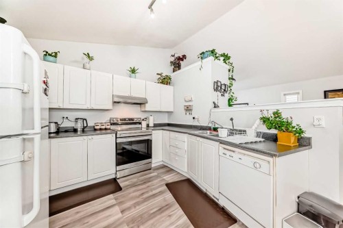241 Los Alamos Place Ne, Calgary, AB - Indoor Photo Showing Kitchen With Double Sink