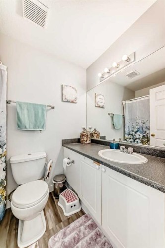 241 Los Alamos Place Ne, Calgary, AB - Indoor Photo Showing Bathroom