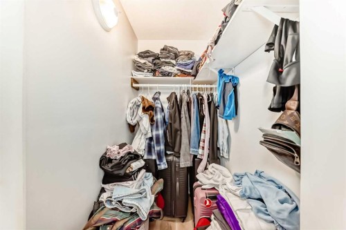 241 Los Alamos Place Ne, Calgary, AB - Indoor With Storage