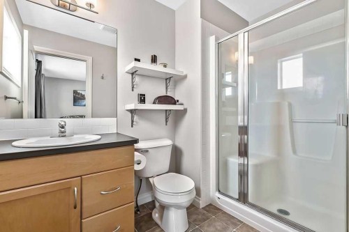 280 Copperstone Gardens Se, Calgary, AB - Indoor Photo Showing Bathroom