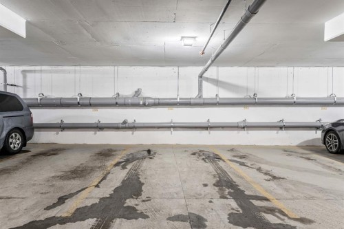 419-245 Edith Place Nw, Calgary, AB - Indoor Photo Showing Garage