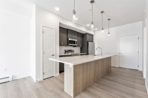 419-245 Edith Place Nw, Calgary, AB - Indoor Photo Showing Kitchen With Upgraded Kitchen
