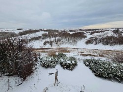 356 Macewan Park View NW Calgary, AB T3K 4G6