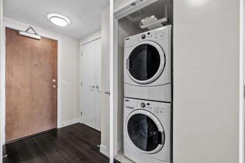 314-222 Riverfront Avenue Sw, Calgary, AB - Indoor Photo Showing Laundry Room