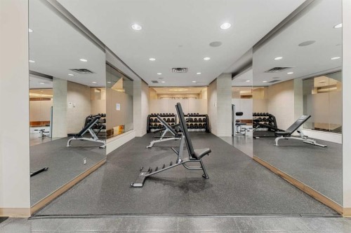 314-222 Riverfront Avenue Sw, Calgary, AB - Indoor Photo Showing Gym Room