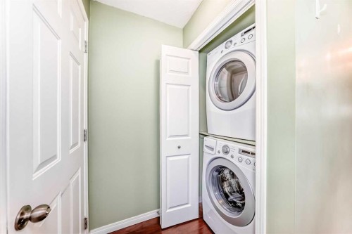 36 Castleglen Way Ne, Calgary, AB - Indoor Photo Showing Laundry Room