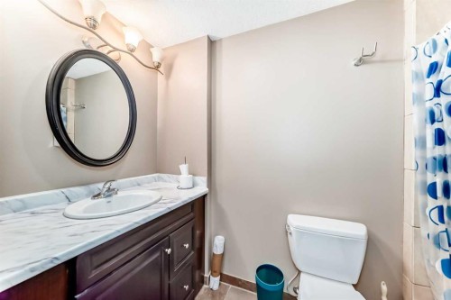 36 Castleglen Way Ne, Calgary, AB - Indoor Photo Showing Bathroom