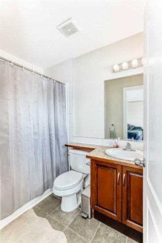 172 Sunset Heights, Crossfield, AB - Indoor Photo Showing Bathroom