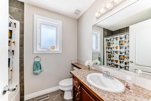 172 Sunset Heights, Crossfield, AB - Indoor Photo Showing Bathroom