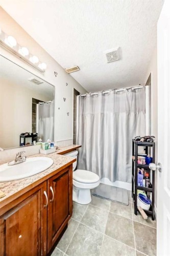 172 Sunset Heights, Crossfield, AB - Indoor Photo Showing Bathroom