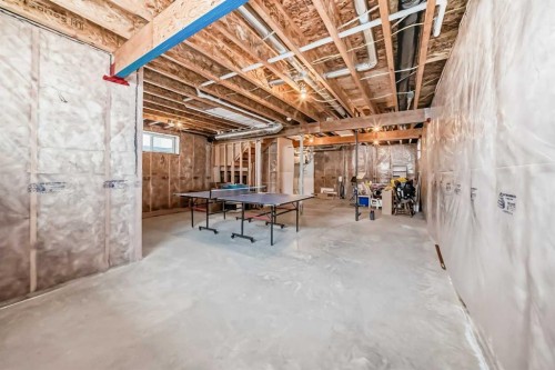 153 Van Slyke Way, Red Deer, AB - Indoor Photo Showing Basement