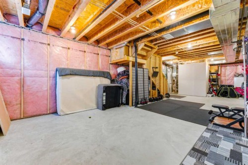 174 Seton Grove Se, Calgary, AB - Indoor Photo Showing Basement
