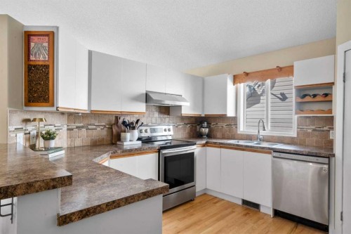 78 Hidden Spring Green Nw, Calgary, AB - Indoor Photo Showing Kitchen With Double Sink