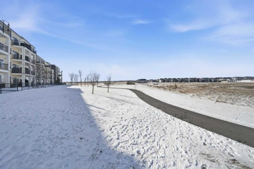2208-99 Copperstone Park Se, Calgary, AB - Outdoor