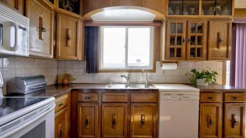 103 Rundlehorn Crescent Ne, Calgary, AB - Indoor Photo Showing Kitchen With Double Sink