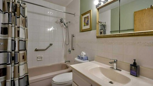 103 Rundlehorn Crescent Ne, Calgary, AB - Indoor Photo Showing Bathroom