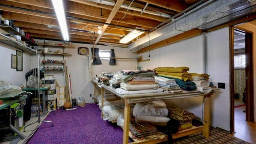 103 Rundlehorn Crescent Ne, Calgary, AB - Indoor Photo Showing Basement