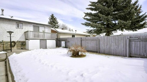 103 Rundlehorn Crescent Ne, Calgary, AB - Outdoor With Deck Patio Veranda