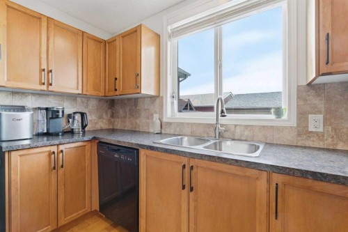 66 Auburn Bay Crescent Se, Calgary, AB - Indoor Photo Showing Kitchen With Double Sink