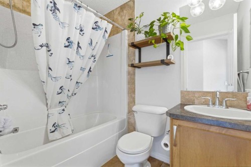 66 Auburn Bay Crescent Se, Calgary, AB - Indoor Photo Showing Bathroom