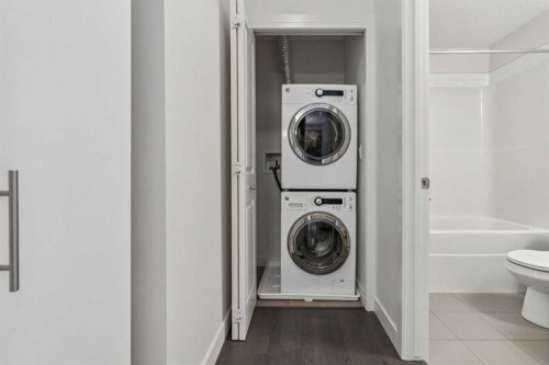 2107-175 Silverado Boulevard Sw, Calgary, AB - Indoor Photo Showing Laundry Room