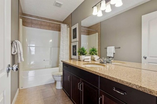 25 Mahogany Square Se, Calgary, AB - Indoor Photo Showing Bathroom