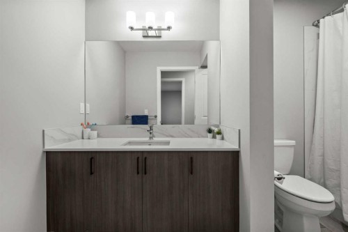 243 Silver Spruce Grove Sw, Calgary, AB - Indoor Photo Showing Bathroom