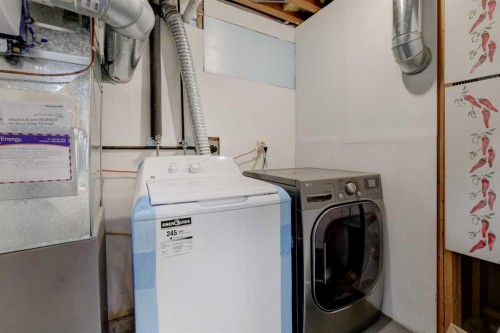 16 Martingrove Mews Ne, Calgary, AB - Indoor Photo Showing Laundry Room