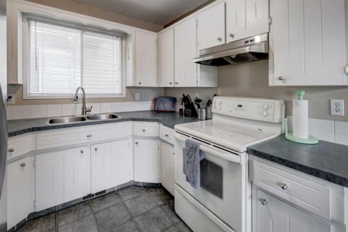 16 Martingrove Mews Ne, Calgary, AB - Indoor Photo Showing Kitchen With Double Sink