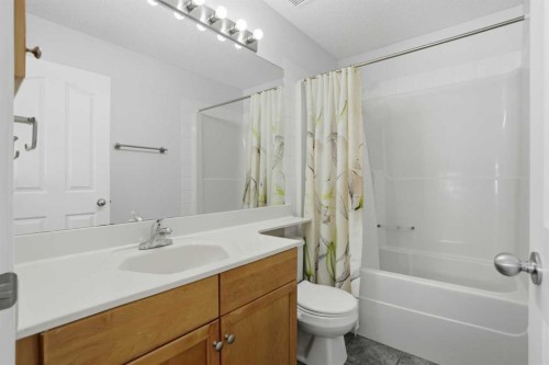 155 Tarington Green Ne, Calgary, AB - Indoor Photo Showing Bathroom