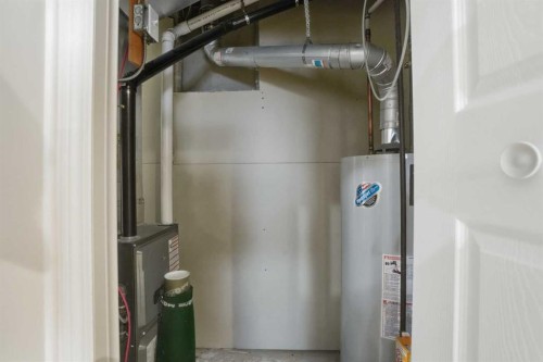 155 Tarington Green Ne, Calgary, AB - Indoor Photo Showing Basement