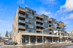 209-301 10 Street NWCalgary, AB T2N 1V5