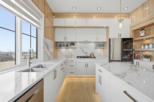 230 Royal Birch View Nw, Calgary, AB - Indoor Photo Showing Kitchen With Double Sink With Upgraded Kitchen