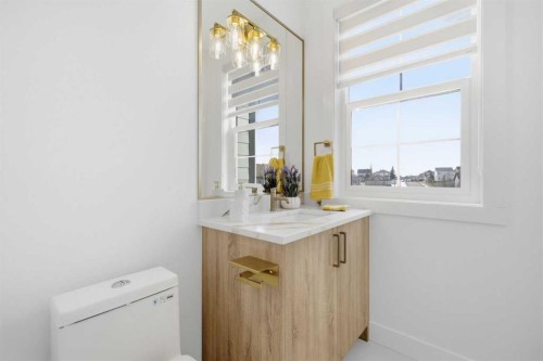230 Royal Birch View Nw, Calgary, AB - Indoor Photo Showing Bathroom