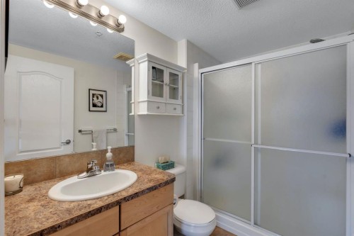 2117-303 Arbour Crest Drive Nw, Calgary, AB - Indoor Photo Showing Bathroom