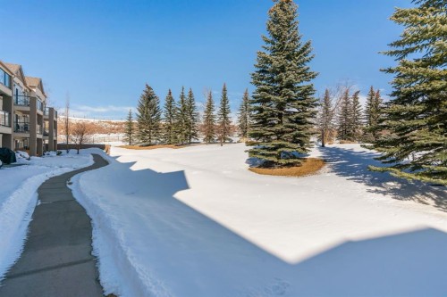 2117-303 Arbour Crest Drive Nw, Calgary, AB - Outdoor