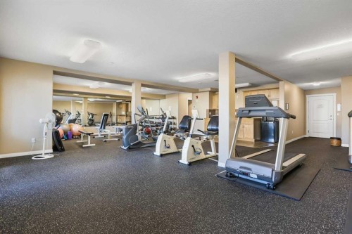 2117-303 Arbour Crest Drive Nw, Calgary, AB - Indoor Photo Showing Gym Room