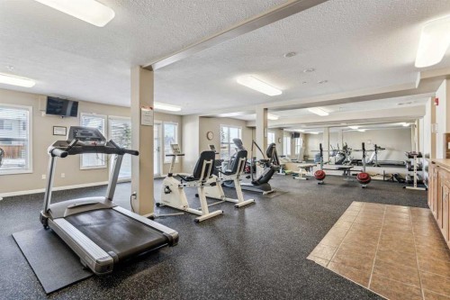 2117-303 Arbour Crest Drive Nw, Calgary, AB - Indoor Photo Showing Gym Room
