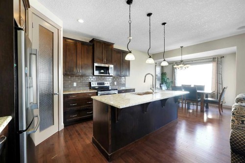 282 Pantego Terrace Nw, Calgary, AB - Indoor Photo Showing Kitchen With Stainless Steel Kitchen With Upgraded Kitchen