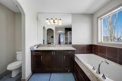 282 Pantego Terrace Nw, Calgary, AB - Indoor Photo Showing Bathroom