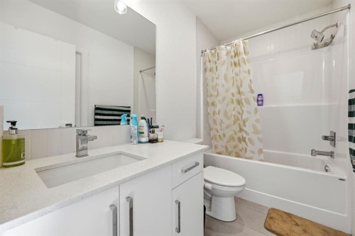 2216-151 Skyview Bay Ne, Calgary, AB - Indoor Photo Showing Bathroom
