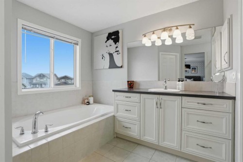 119 Prestwick Terrace Se, Calgary, AB - Indoor Photo Showing Bathroom
